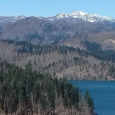 Sara - شقة ديلنايس