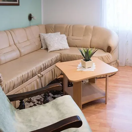 Sara - Apartment Delnice