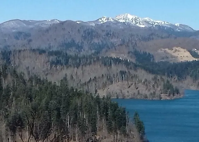 Sara - Appartement Delnice