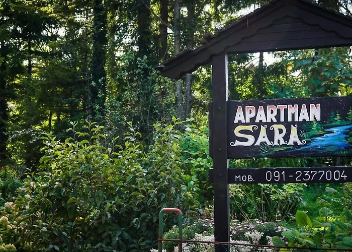 Sara - * ديلنايس